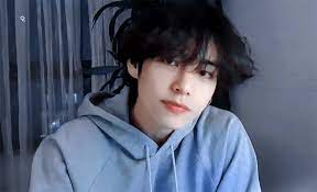 2020 Vlive Taehyung 200128 Los Angeles Taehyung V Taehyung Kim Taehyung