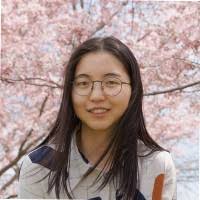 30+ "Aster Aster" profiles