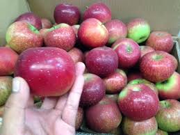 Website download gambar berkualitas tinggi. Apel Malang 2 Minggu Busuk Kok Apel Impor Tahan 6 Bulan Dan Mengkilap
