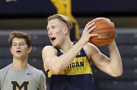 Image result for Dissotis brazzae