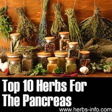 Pin On Herbs Spices