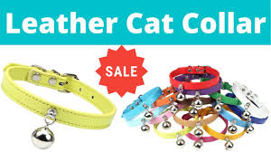 Do you have a stubborn cat who loves to go to forbidden areas of your house? Cat Shock Collar Cat Training Collar Youtube