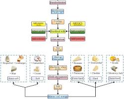 תמונה של Gorgonzola cheese production process