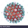 Avian flu outbreak threatens south african poultry industry. 1