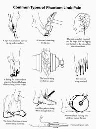 Pin On Occupational Therapy