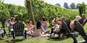 Sunday Live Music on the patio at Newport Vineyards