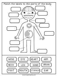 Vocabulary worksheet containing body parts vocabulary. Human Body Worksheets Itsybitsyfun Com