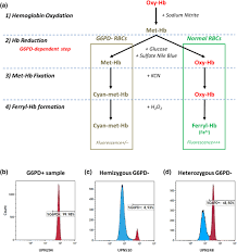 Image result for G6PD Deficiency Detection