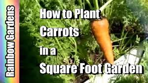 Maybe you would like to learn more about one of these? How To Plant Carrots In A Square Foot Garden Youtube