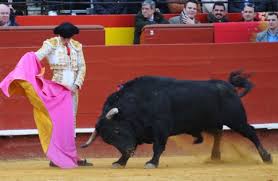 ALEJANDRO TALAVANTE REAPARECE HOY EN ZARAGOZA | SIMON CASAS PRODUCTIONS