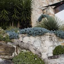Succulent Garden In Vaucluse We Rebuilt Some Of The Sandstone Walls To Expand The Garden Beds To Sof Sustainable Garden Design Sydney Gardens Landscape Design