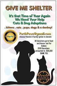 Animal Shelter Pet Adoption Animal Shelter Adoption