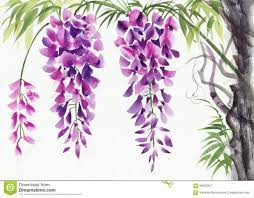 Image Fleur De Glycine Illustration Stock Image 49256852 Watercolor Paintings Flower Painting Original Watercolor Painting
