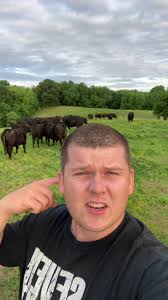 Calling cow calf producers…. Bulls! To raise or not to raise that is t...