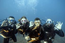 Introduction To Scuba Diving Sunshine Coast Adrenaline