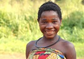 Image result for Odontosoria africana