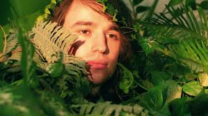 Firefly (feat. Haley Sheffield)