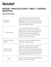 Mutation and selection gizmo flashcards | quizlet. What Is Natural Selection Quizlet