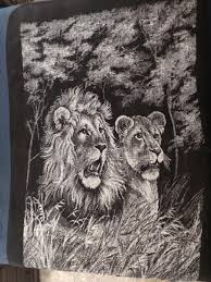 Hotel san marcostotal 5 photos. Y Que Chingue A Su Madre Carole Baskin Saquen Sus Cobertores San Marcos Raza Imgur