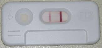 حزام الحمار في الداخل كيف اعرف نوع الجنين من اختبار الحمل المنزلي -  mindyourheadapp.com