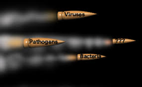 When does a bullet reach maximum velocity? Letter From The Editor Moving Faster Than A Speeding Bullet Food Safety News