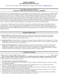 Top Government Resume Templates Samples