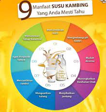 Sekali lagi kami sangat membuka pintu lebar untuk anda yang berminat menjadi mitra distributor kami dengan harga yang sangat fantastis. Khasiat Susu Kambing Segar Mat Pidot