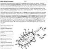 All bacteria are prokaryotes because they lack a distinct nucleus with nuclear membrane. Pin On Hot Resources For November