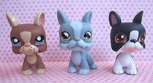 Hot or cold weather extremes. Littlest Pet Shop Lps Boston Terrier Puppies Trio 63 857 1789 526765855