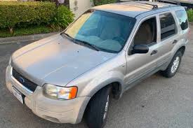 Image result for Medium Wedgewood 2000 Escape