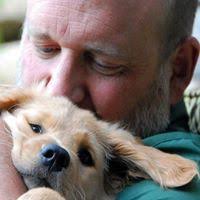 PDF) THE INFLUENCE OF ROBERT VENTURI ON LOUIS KAHN