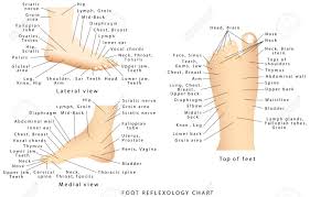 Reflexology Chart Reflex Zones Of The Feet Side Views Top