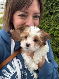 Special Olympics Chicago Silver Medal Achievement