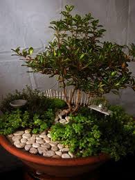 Gardening Services Near Me Gardening Supplies Newcastle Gardening Zones Oregon Gardening Tools Sho Jardineria En Macetas Jardin De Hadas Jardin En Miniatura