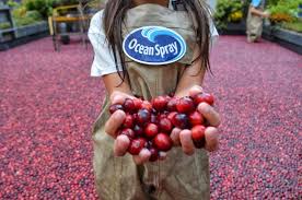Ocean Spray S Nyc Cranberry Bog Marinobambinos Ocean Spray Cranberry Bog Ocean Spray Cranberry