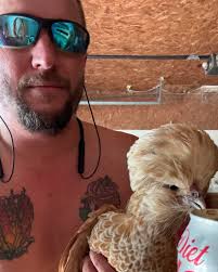 Why don't chicken eggs taste like chicken?