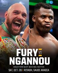 WBC heavyweight champion Tyson Fury will box former UFC heavyweight  champion Francis Ngannou