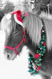 Touch Of Fashion Photo Color Splash Color Splash Red Christmas Horses