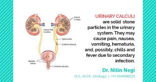 Urinary Calculi Dr Nitin Negi Mch Ms Urology Wireless 91 9649888222 Drnitin Negi Nocturia Vesicoureteral Reflux Renal Calculi Calculus Bladder Renal