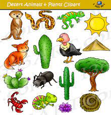 Great selection of desert animal clipart images. Desert Clipart Desert Animals And Terrain Clip Art School Clipart