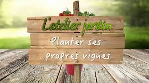 Le site communautaire des bricoleurs, dédié au bricolage et à l'aménagement de la maison. Comment Planter Ses Propres Vignes Youtube