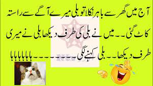 See more ideas about urdu funny quotes funny quotes funny. Funny Cat Jokes In Urdu By Ntv Urdu 2019 20 World Cat Comedy