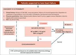 Flow Chart For The Diagnosis Of Heart Failure Adapted From