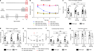 Presymptomatic Training Mitigates Functional Deficits In A Mouse Model Of Rett Syndrome Nature