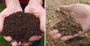He says the best amendment for sandy soil is a heaping dose of organic compost made from animal manures or horticultural waste. Compost Vs Soil What S The Difference Gardening Channel