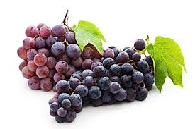 Grapes - Source of Resveratrol