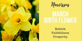Ever wondered what types of flowers correspond with your zodiac sign? Here S All About March Born Birth Flower