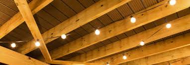 Maybe you would like to learn more about one of these? Hang Lights Without Nails And Drilling Dragon Matrix