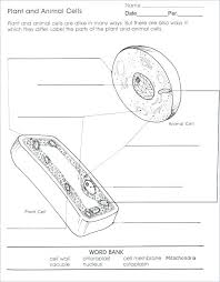 Plant Cell Coloring Page Parts Blank Plant Cell Worksheet Checks Worksheet Free Coloring Animal Cell Diagram Cells Worksheet Plant And Animal Cells Plant Cell
