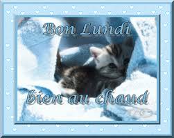 Résultat de recherche d'images pour "gif lundi chat"